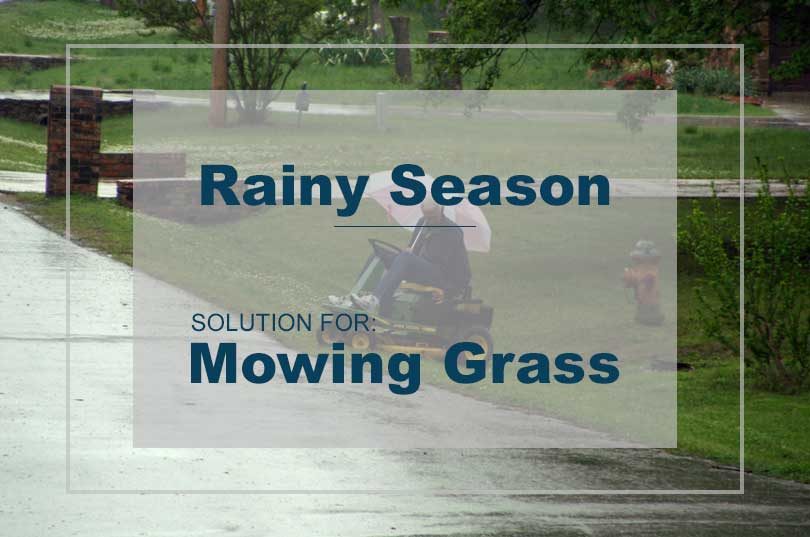 9 Recommended Techniques For Mowing Your Grass After Rain